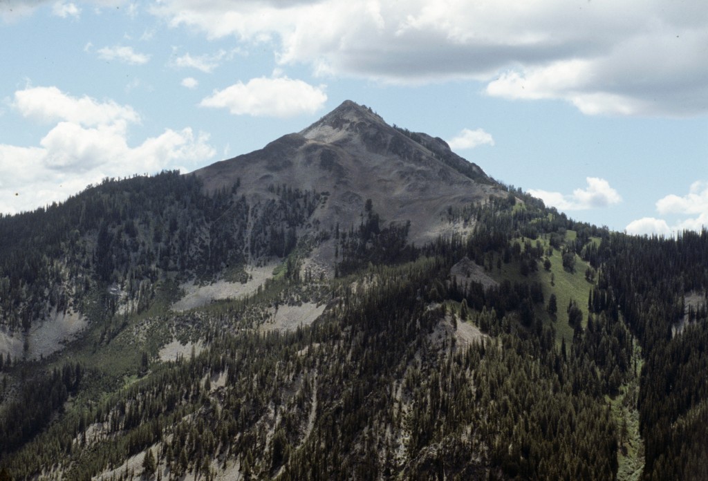 Newman Peak from Two Top Mountain.