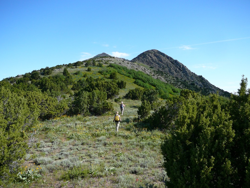 The false summit of Old Tom (right) and the true summit (left) from the south ridge route.