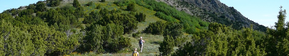 The false summit of Old Tom (right) and the true summit (left) from the south ridge route.