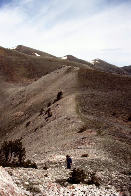 The Blaick Pine crest is a windswept, treeless expanse with great views in every direction.