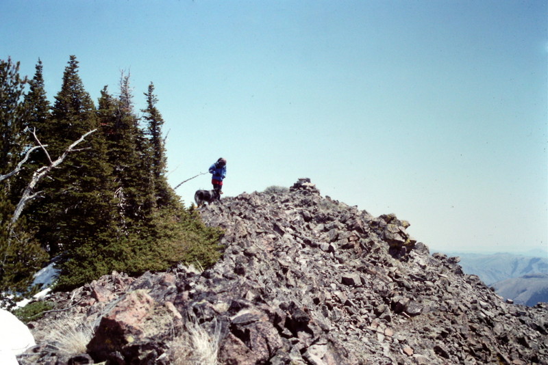 Sheep Mountain's summit.