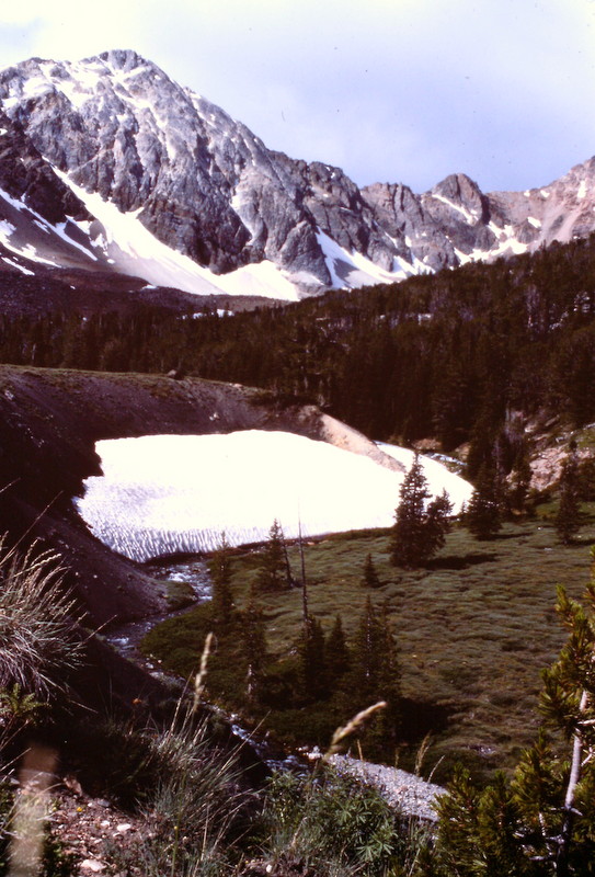 The east side approach to the peak is scenic and more alpine in nature than most Lost River Range drainages.