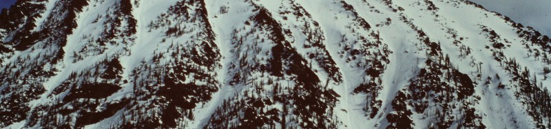 A 1903 Ascent of Freeman Peak