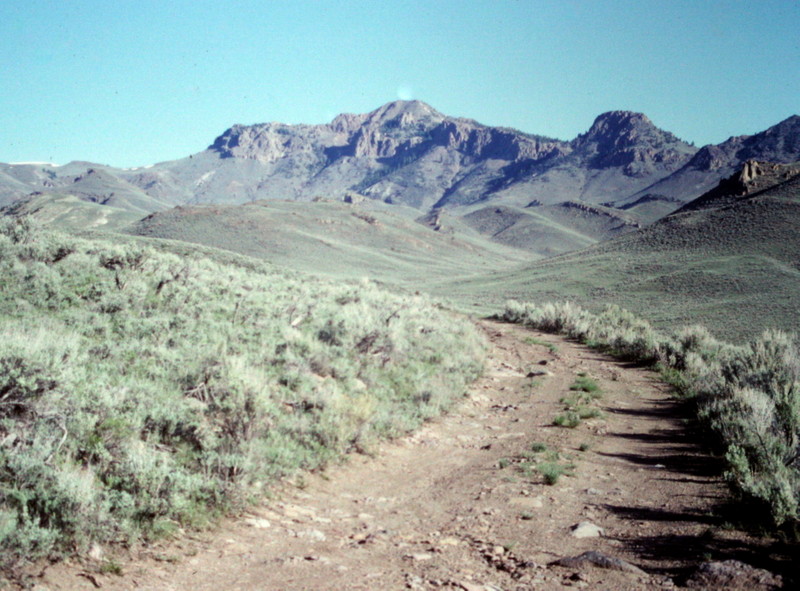 The approach to Sheep Mountain leave Antelope Creek and follows the Waddoups Creek road toward the mountain.
