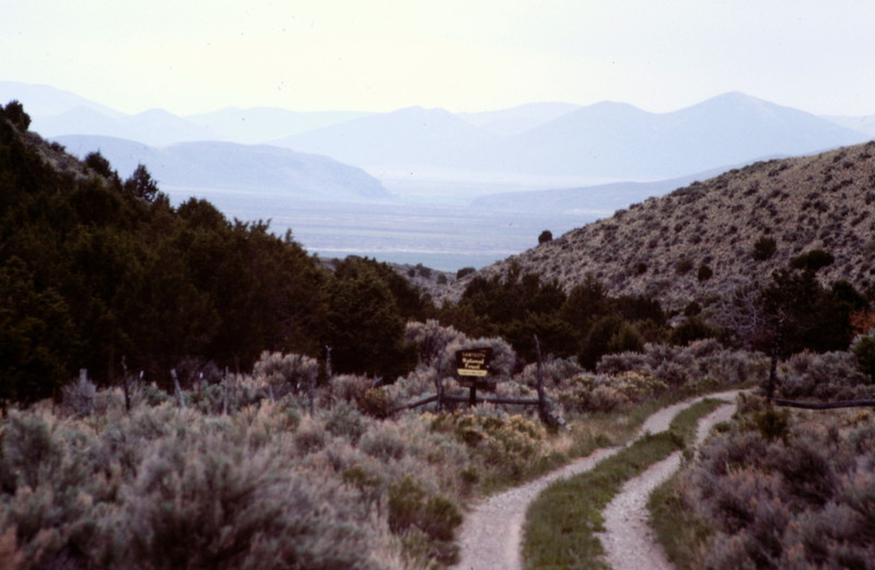 The best access to the Black Pine Mountain crest and also Gunnel Mountain is via Kelsaw Canyon on the ranges southwest corner.