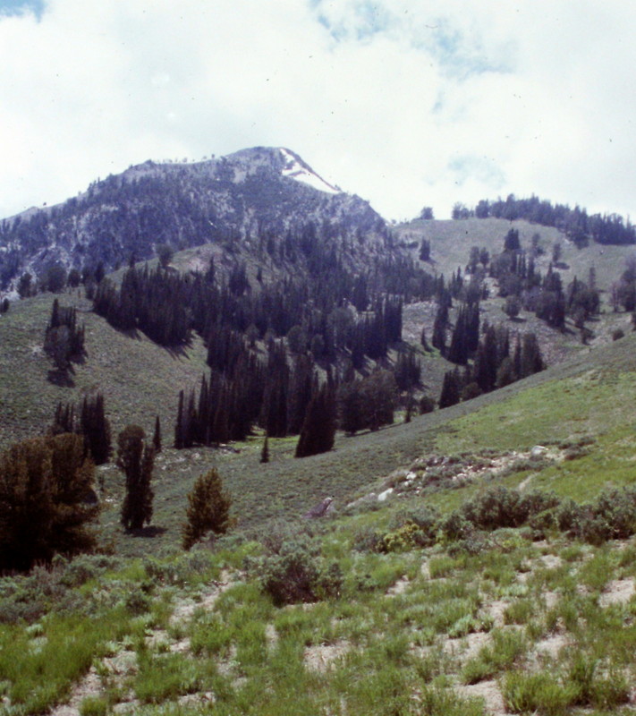 Approaching Newman Peak from the South Fork Salmon River.