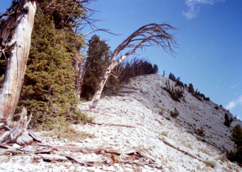 Mount Jordan's south ridge provides good access to the summit.
