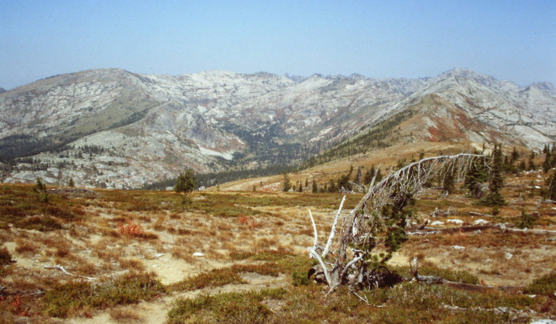 There are open ridges which can be traversed with difficulty. This shot is looking north from near the top of Big Fog Mountain.