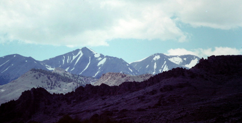 The high peaks of the White Knob Mountains viewed from Alder Creek.