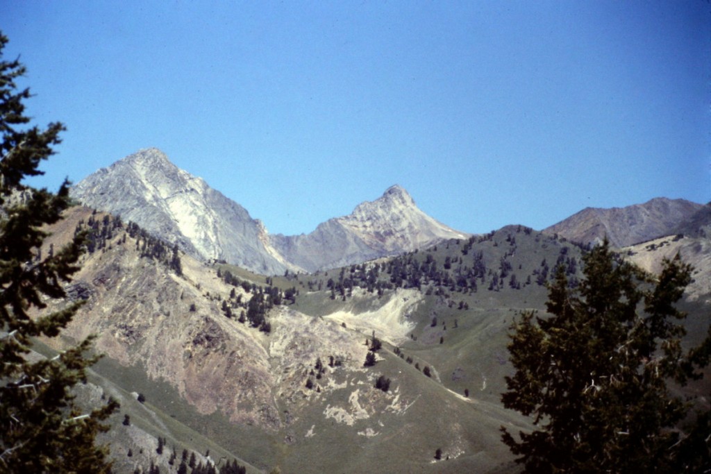 Cobb Peak and Old Hyndman viewed from the lower slopes of Grays Peak.
