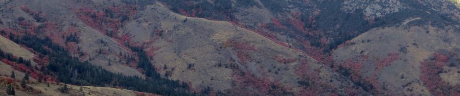 Peak 8037 as seen from Goodenough Peak. Photo - Steve Mandella.