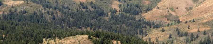 Rock Knoll east view, photo - Steve Mandella