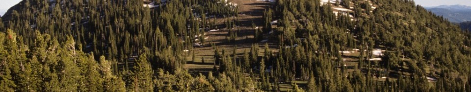 Sherman Peak from the north.