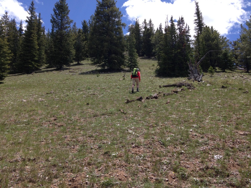 The lower portion of the west ridge provides good footing and few obstacles.