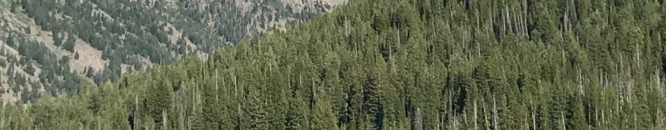 Peaks 10536 and 11039 (Atlas Peak) - photo Margo Mandella