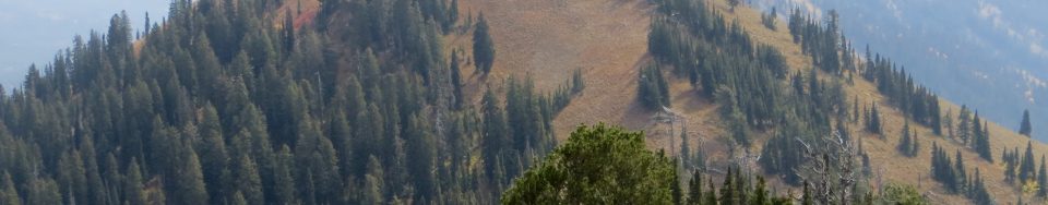 Peak 8619 from Piney Peak. Steve Mandella photo.