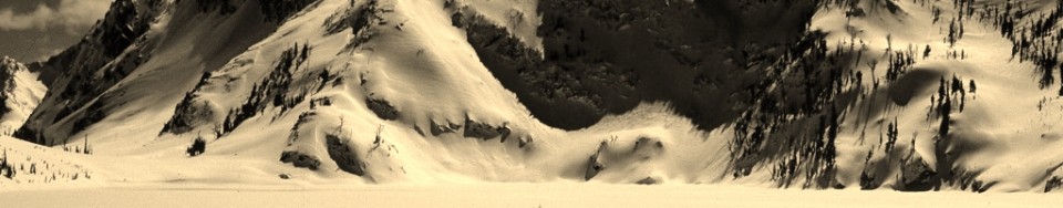 THE LOST AND WANDERING by Joe Leonard