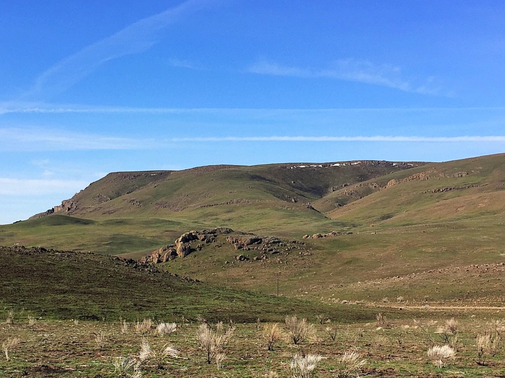 Pole Creek Top viewed from the northeast.