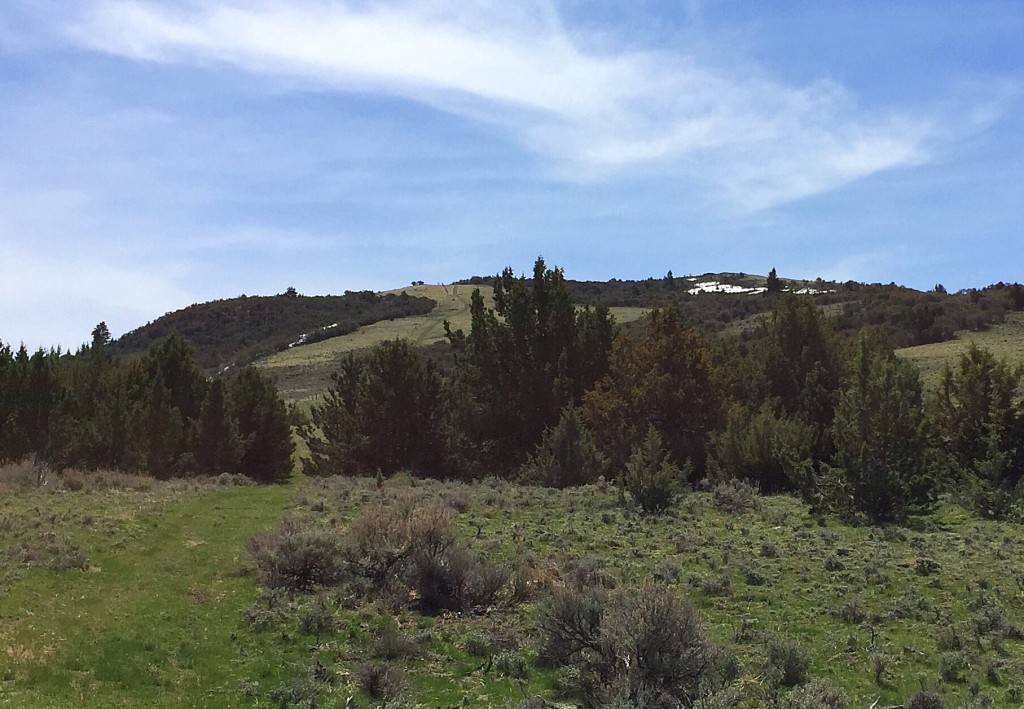 Peaks 6497 from just east of Toy Pass.