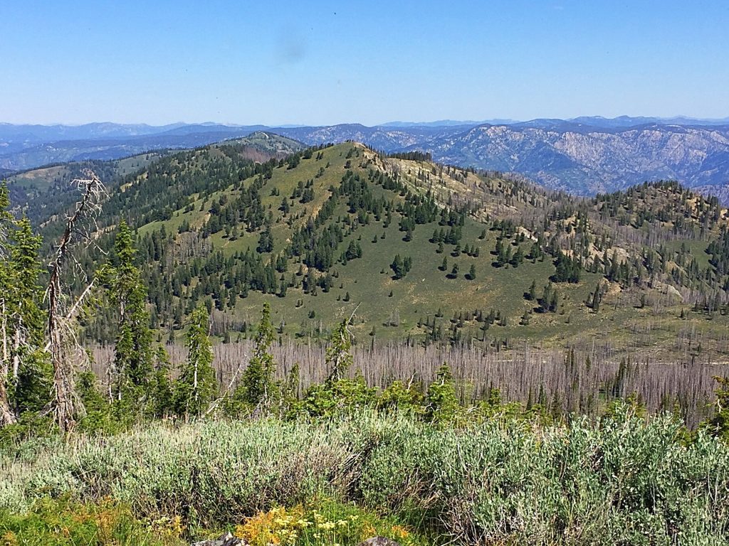 Peak 8340 with Jackson Peak behind it from Peak 8498.