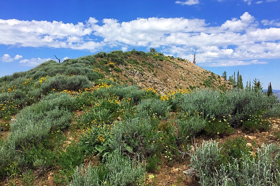 Tue last few feet of the east rodge.
