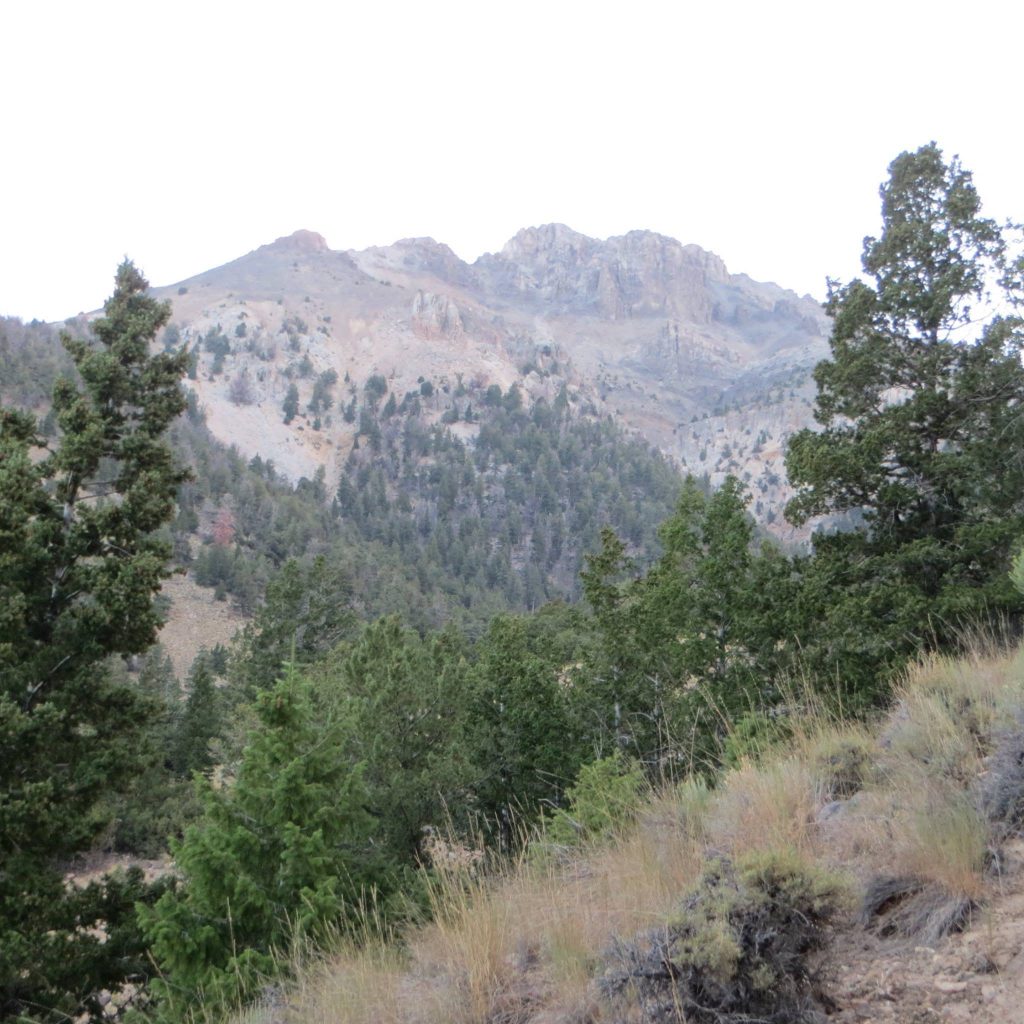 The south face of Mount Morrison. Steve Mandella Photo 