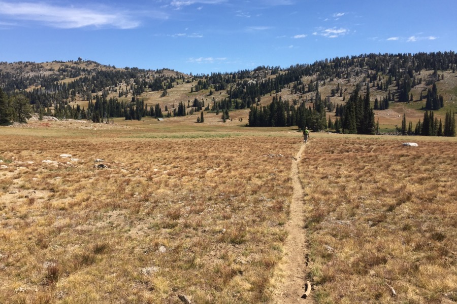The west side of the West Mountains harbors beautiful granite studded meadows reminiscent of the Sierra Nevada.