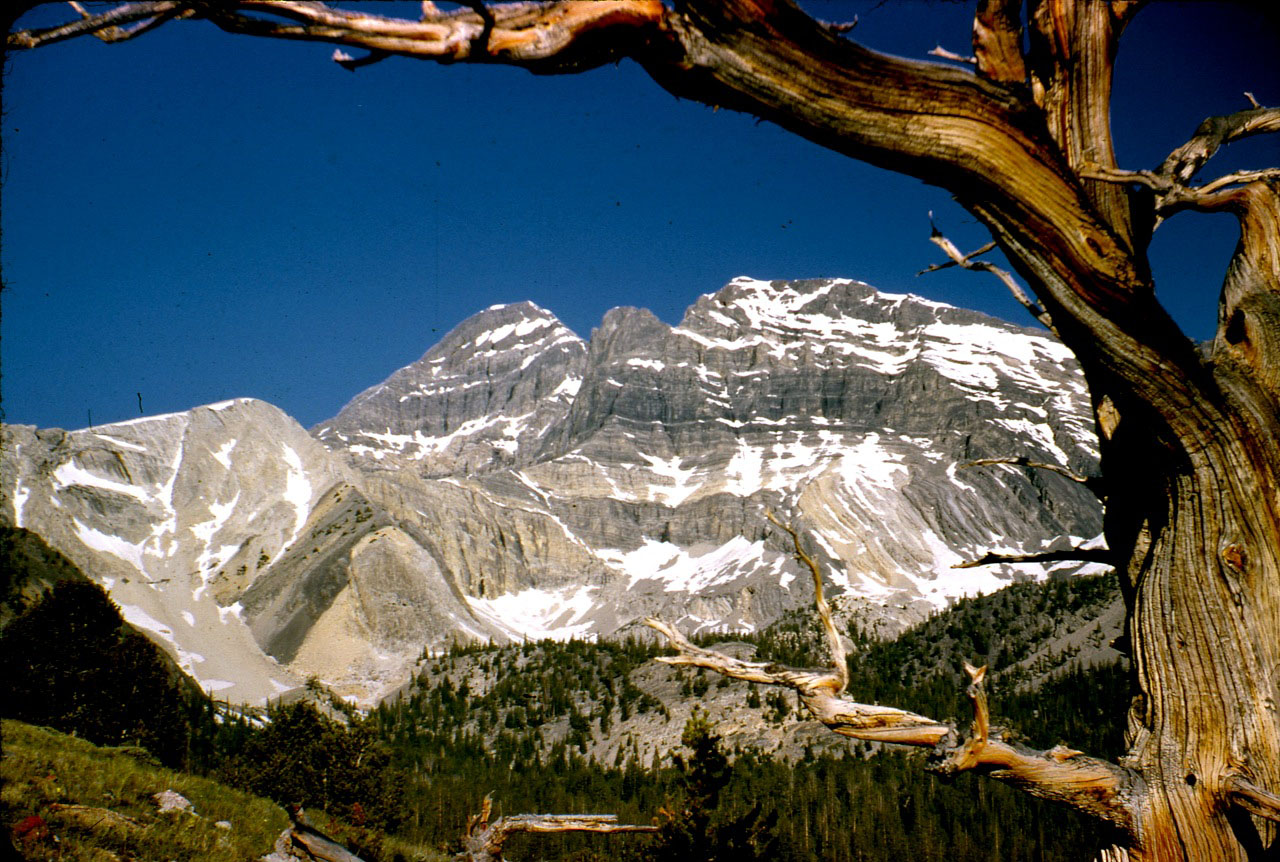 Looking across the East Face (left-to-right) at the Northeast ridge, the col and what we call the "Super Buttress." Photo - Lyman Dye
