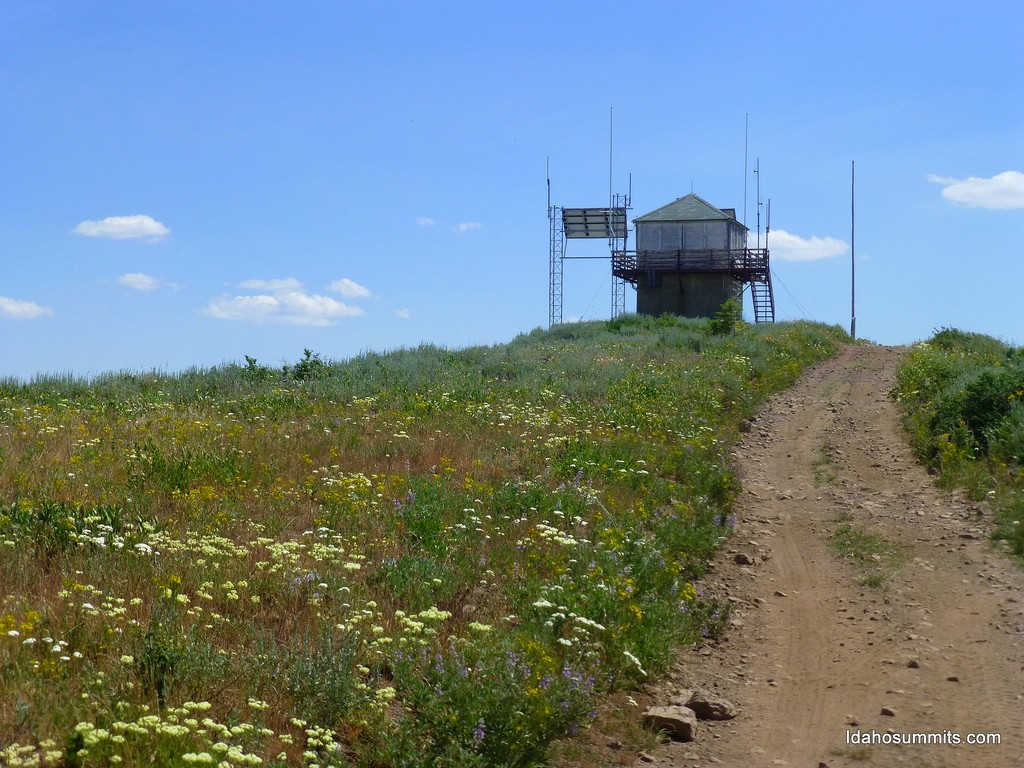 The summit of Hawley Mountain. Dan Robbins Photo