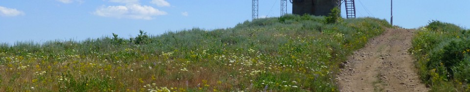 The summit of Hawley Mountain. Dan Robbins Photo