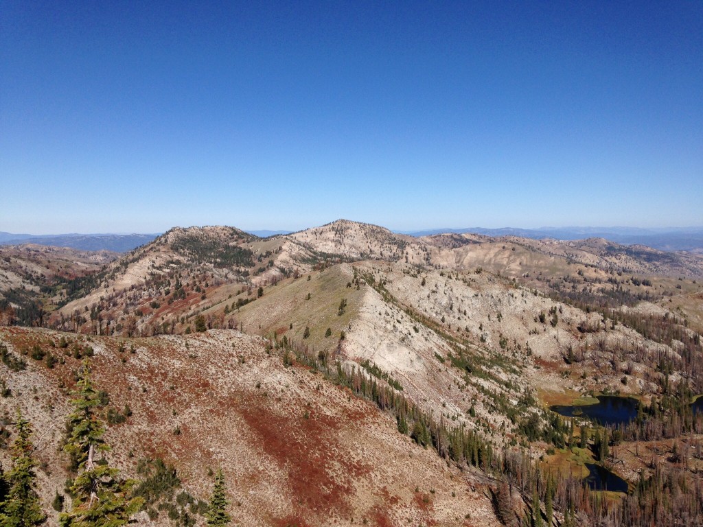 The view from the summit is vast. This shot shows the Trinity Mountain ridge running off to the north. To the south you can see the deep canyon of the South Fork Boise River. To the north the view includes the Middle Fork Boise River drainage. The Sawtooth Mountains are to the north east and, of course, ragged Trinity Peak is just to the east.