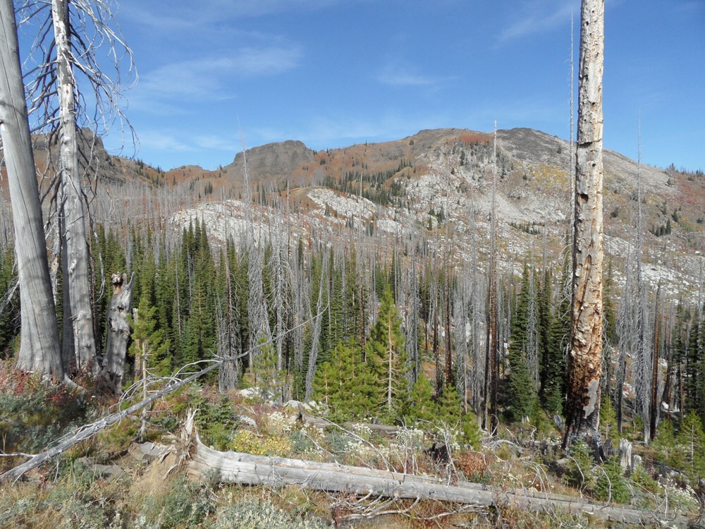 Lava Butte 2014. John Platt Photo