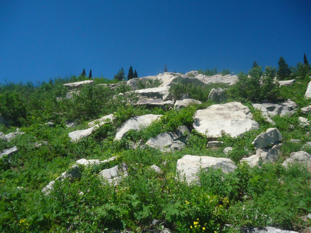 Approaching the summit through the white rock labyrinth. Matt Durrant Photo