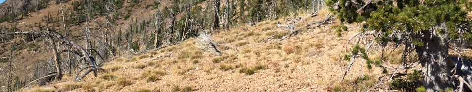 Borah: Where Gray Granite Crags and Idaho’s Azure Skies Meet  By DICK d’EASUN