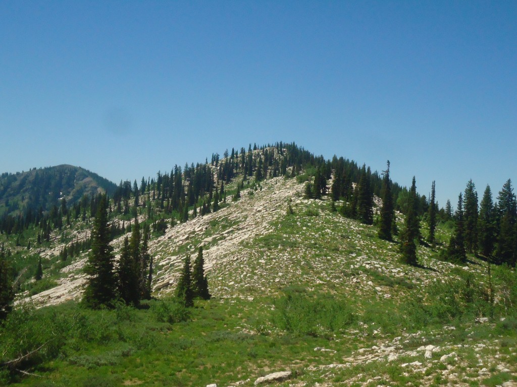 White Face Peak. Matt Durrant Photo
