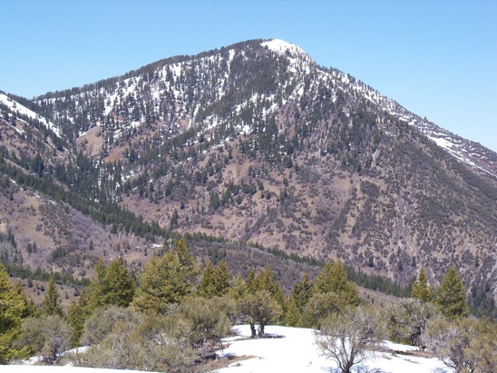 View N to Hawks Peak. SW ridge is on left skyline, 4/30/14. Subsequent research has indicated this peak was used for triangulation by USGS topographical engineer George T Hawkins in preparing the Montpelier 30' quad of 1909. I'd like to think the peak was named for the bird and the man. Rick Baugher Photo
