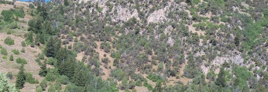 East face of New Point from start of hike in New Canyon. The nearby Oneida-Bannock County line is also the Great Basin-Columbia divide. New Point is on the Great Basin side. Rick Baugher Photo 8/5/12.