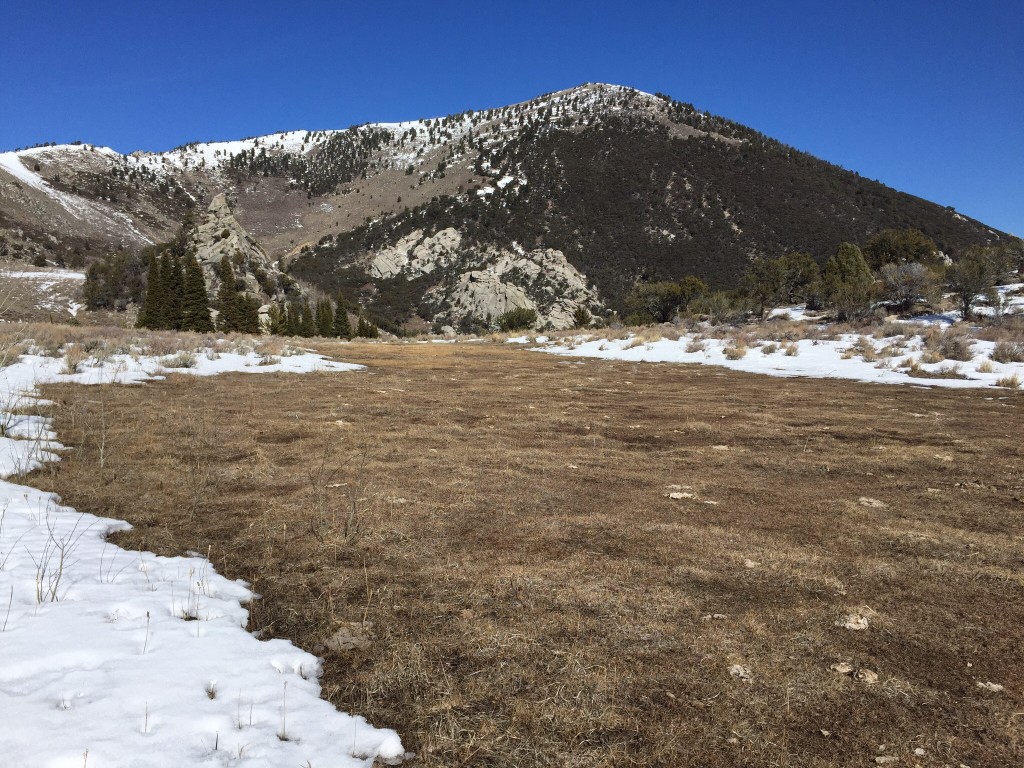 The west face from a point just south of Indian Grove.