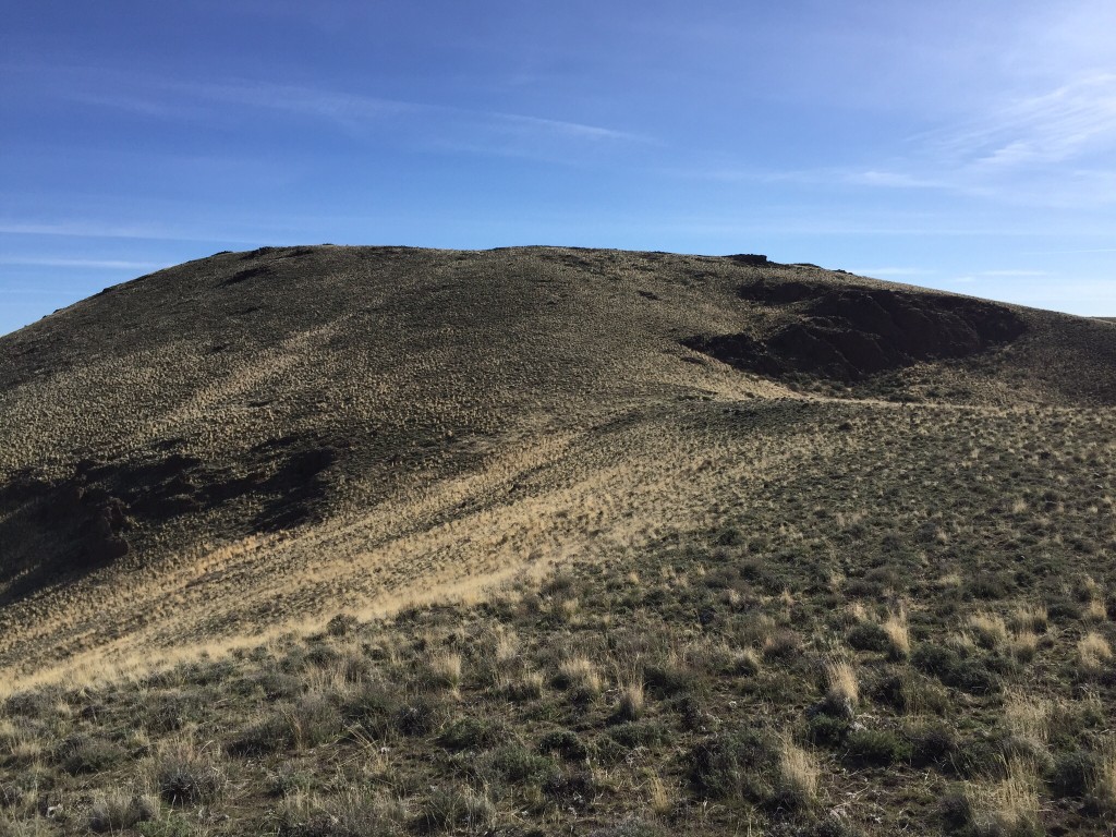 Buck Mountain's summit from its western ridge.