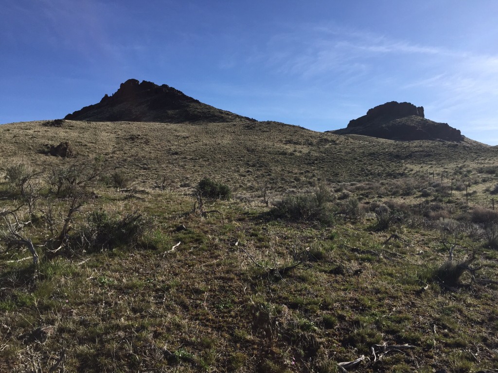This is the view of the peak's west ridge from the road. The true summit is not visible and behind the point on the left.