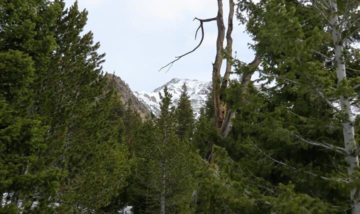 The summit is still a long way off when you first see it rising above the trees. Photo - Dan Paulson