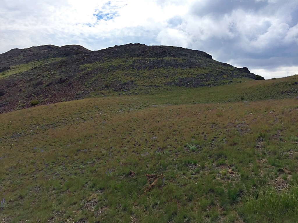 Looking up the west ridge from treeline. The summit is off to the left.