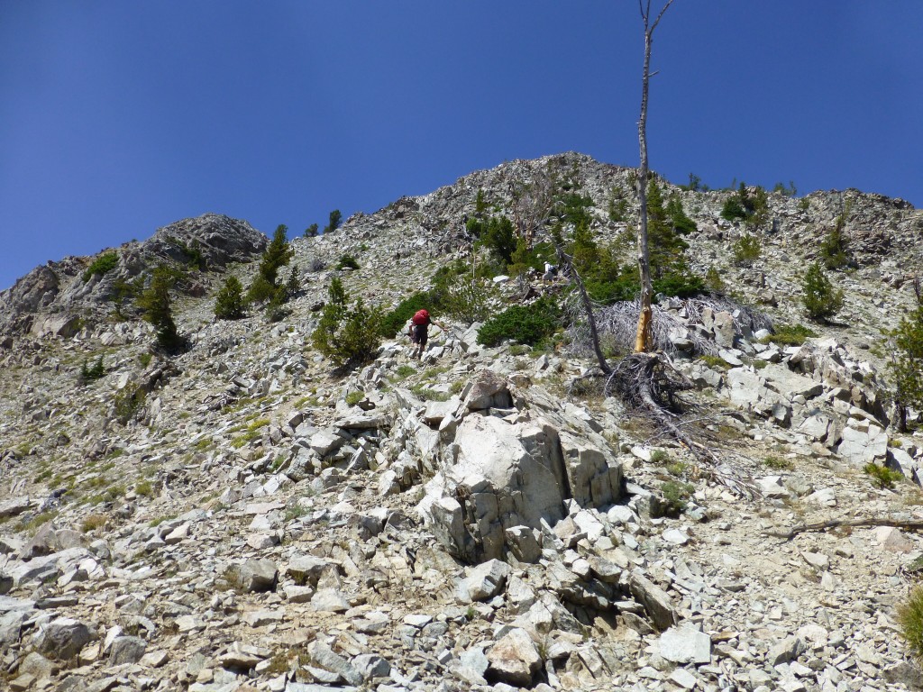 Climbing up the southeast rib. Dan Robbins Photo