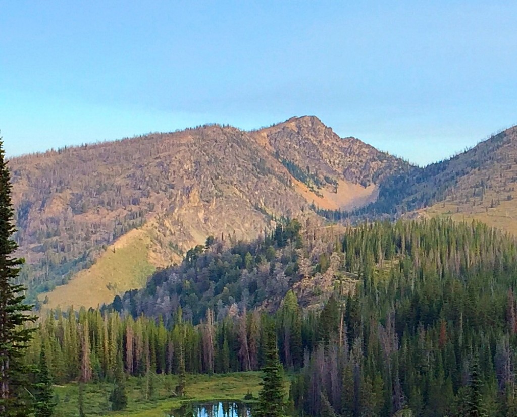 Peak 9505 from the southeast.