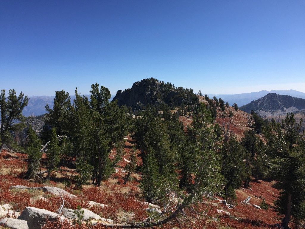 The high point of Peak 9140 viewed from the lower western summit.
