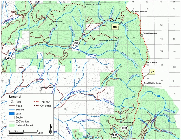 National Forest Map