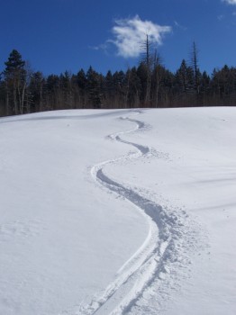 kelly mtn Bauger 3