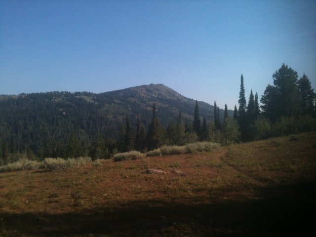 Tripod Peak from the trail leading in from the south. The southern route is not in the book and involves an 11.6-mile round trip hike.