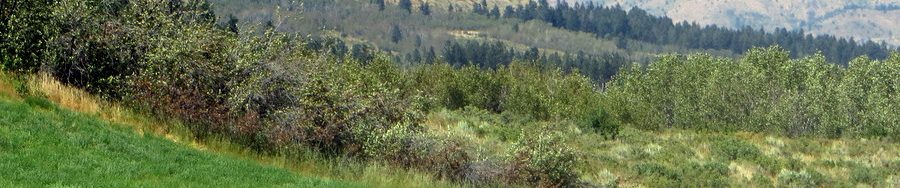Peak 6582 (left) and Slate Mountain (right). photo - Steve Mandella